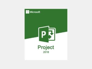 Microsoft Project 2016