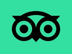 Tripadvisor Là Gì
